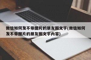 微信如何发不带图片的朋友圈文字(微信如何发不带图片的朋友圈文字内容)