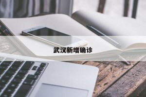 武汉新增确诊
