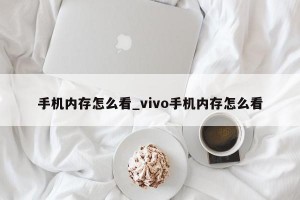 手机内存怎么看_vivo手机内存怎么看