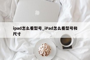 ipad怎么看型号_iPad怎么看型号和尺寸