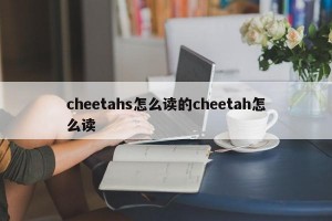 cheetahs怎么读的cheetah怎么读